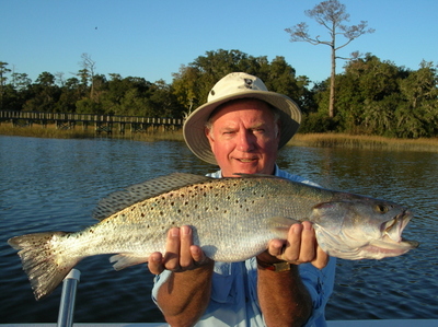 A very nice 7.2 pound Speckled Trout caught around Wrightsville Beach
