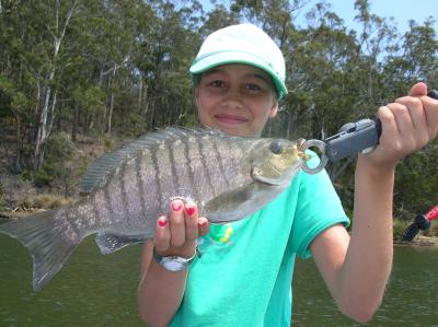 One of the nice Blackfish being caught in the Bermagui River at present.
