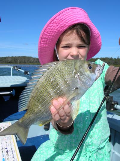 One of many Bream taken on charter with D J\'s Fishing Adventures