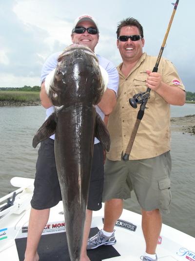 66.5 Pound Cobia