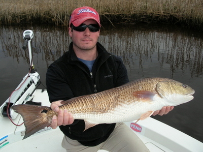 Nice Shallow water Redfish