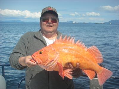 Big Red Snapper