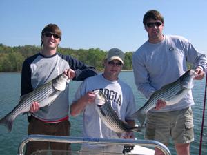 Late April 2007 Stripers