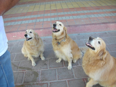 We like smoked fish, can we have some?