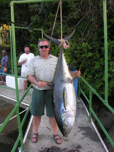 Yellow Fin Tuna