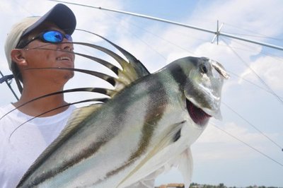 DO YOU KNOW THE NAME OF THIS FISH