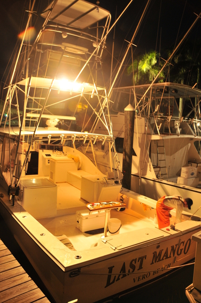 Early morning prep work on the Mango