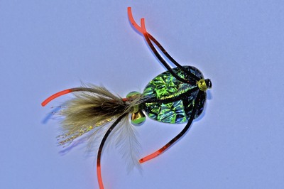 one of the spoon flies we used