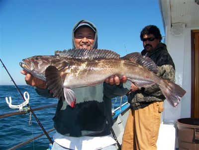 Capt. Darren Seiji with good lingcod