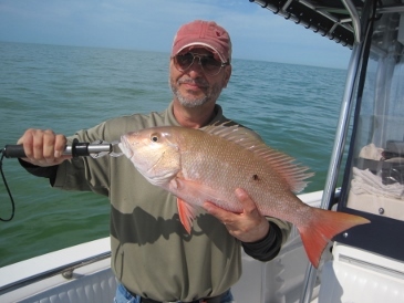22-inch mutton snapper