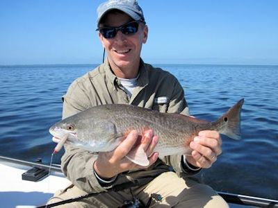 Dave Reinhart, from VA, caught and released this nice red on a CAL jig with a shad tail while fishing the Terra Ceia Bay area with Capt. Rick Grassett.