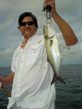 David Sugar, from Sarasota, FL, with a nice blue caught and released on a CAL jig while fishing Sarasota Bay with Capt. Rick Grassett.