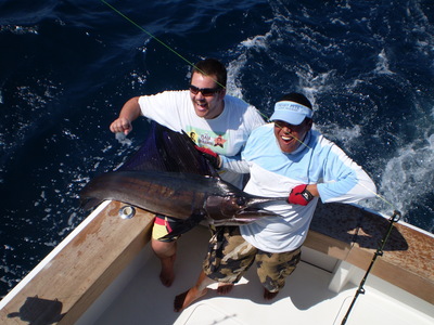 Happy New Year Sailfish