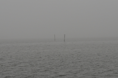 A cold, foggy day in Matlacha Pass