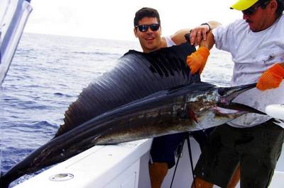 Vincent Delgozzo Sail