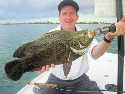 Denis Clohisy's Sarasota fly tripletail
