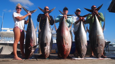 Venice Marina Dock Shot