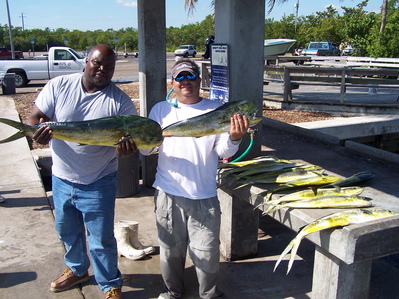 Excellent Dolphin Catch 11/21/08