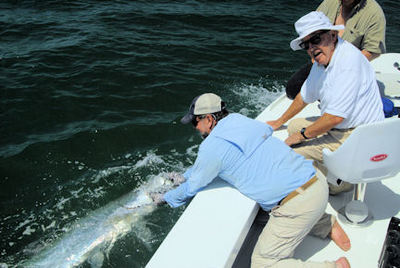 Don Moberg's 110-lb Siesta Key tarpon caught with Capt. Rick Grassett.