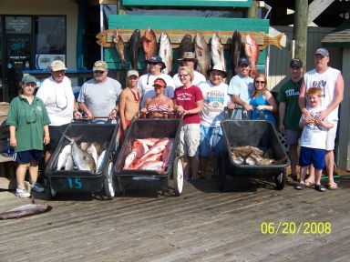 Amberjack, Cobia, Scamp and Grouper
