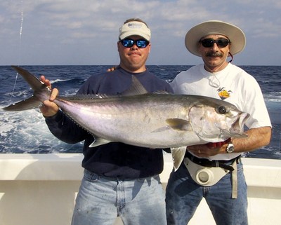 Orange Beach Amberjack