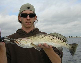 Nice Seatrout