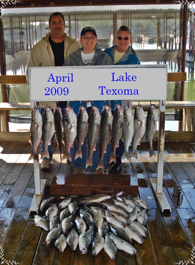 Fish caught on one anchor, as fast as they could get baited up.