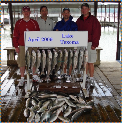 Good sized box fish. lots of fun.