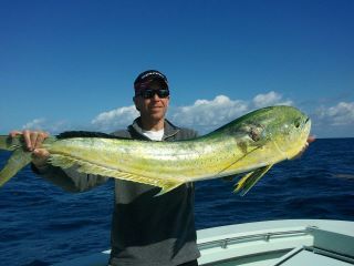Nice Mahi