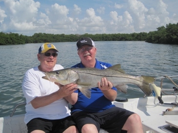 39-inch snook bit two hooks with whitebaits