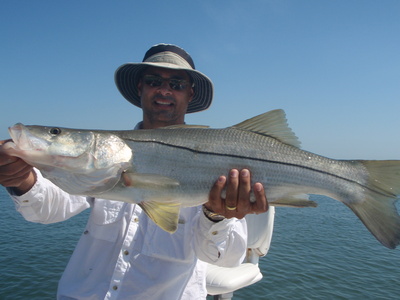 nice snook