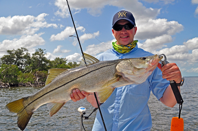 Thirty-five inch snook
