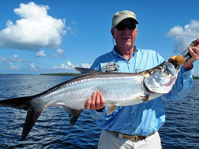 Summer Tarpon in Matlacha Pass