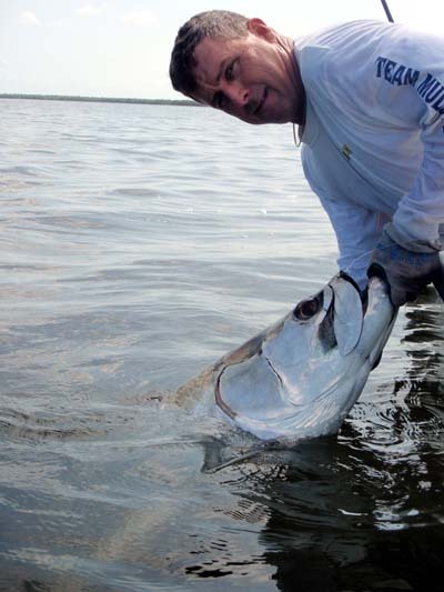 Early Morning Charlotte Harbor Tarpon