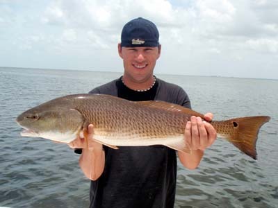 Oversize Pine Island Redfish