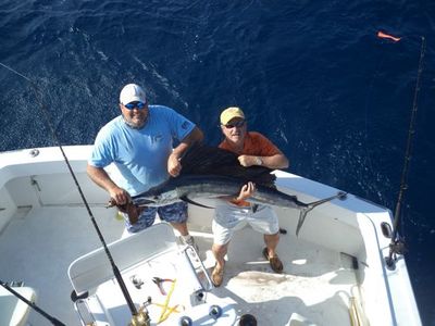 Captain Taco (954) 764-4344 or toll free @ (877) Sea-4344 tacohookedup@aol.com