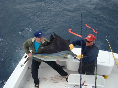 Quick Picture before being released