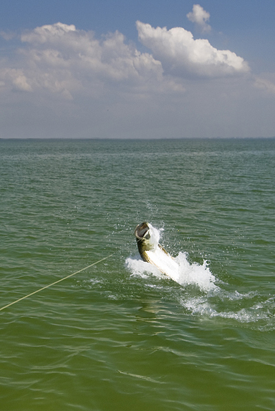 Yes...in March in Tampa.