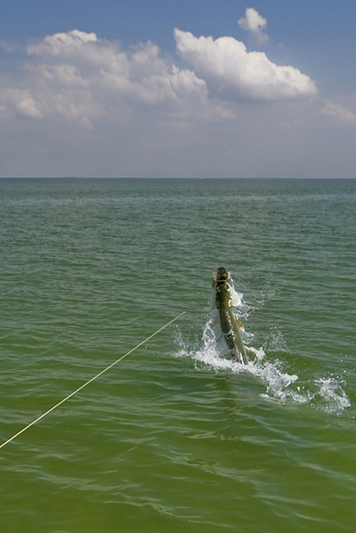 What a sight.  It never gets old.