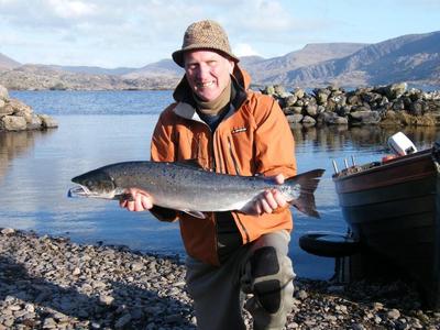 Wild Atlantic Salmon