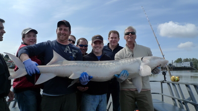 winter sturgeon can be good