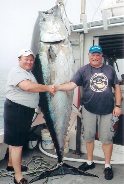Giant Bluefin