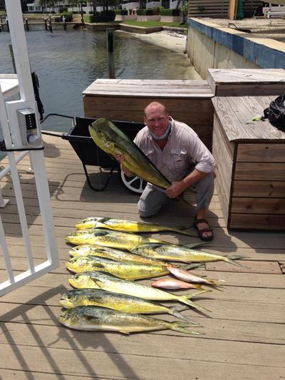 Two Air Force Vets come out and Slay Dolphin