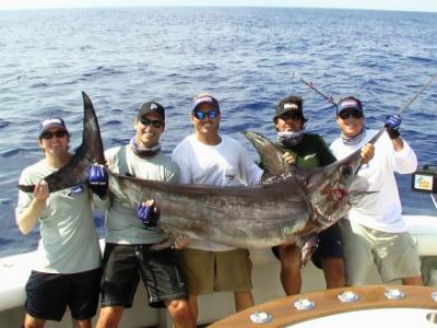 250 pound swordfish, caught on squid