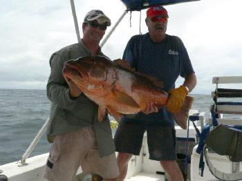 giant snapper