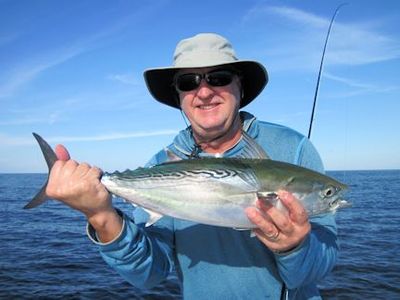 Greg Stepanski, from Tampa, FL, with a nice false albacore caught and released on a fly in the coastal gulf near Tampa Bay while fishing with Capt. Rick Grassett.
