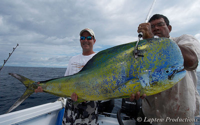 Big Dorado/Mahi