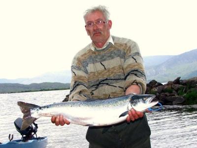 Wild Atlantic Salmon