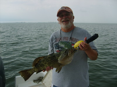 Keeper Grouper inshore