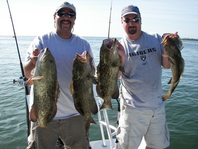 Ft. Myers Grouper
